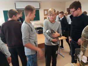 Pažintinė diena – „Gyvūnai mūsų draugai“ Pažintinė diena – „Gyvūnai mūsų draugai“