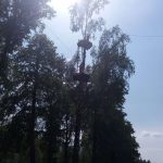 20190613_142602 (1)
