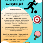 Fiksavimas