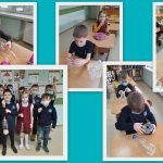 lesyklos (1)