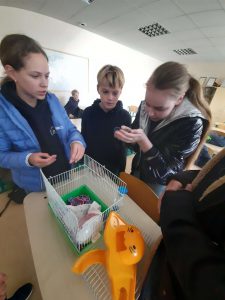 6 kl. valandėlė su mokinių augintiniais 6 kl. valandėlė su mokinių augintiniais