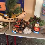IMG_6559 (1)